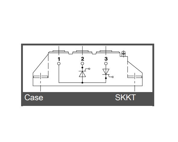 SKKT25
