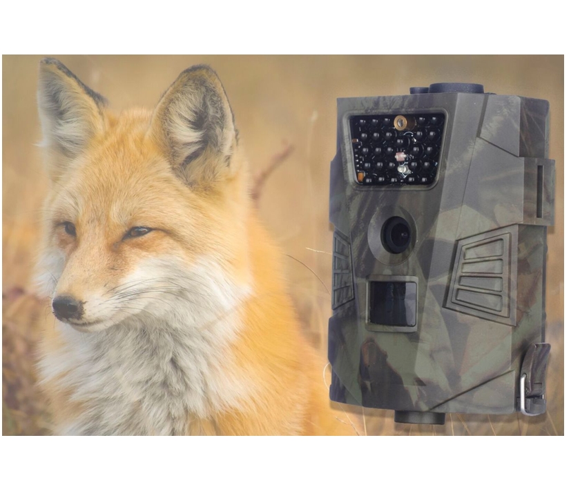 Wildkamera_5MP_Nachtsicht_79-240-06800_B03